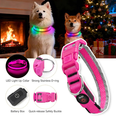 Collier LED Rechargeable Nylon Doux pour Chien