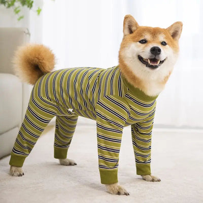Pyjama pour Chien Rayé Combinaison Intégrale Grand Chien
