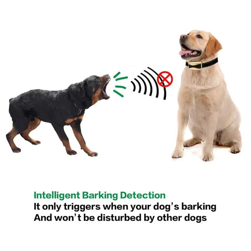 Collier Anti-Aboiement Rechargeable Gros Chien Étanche