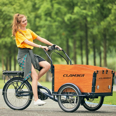 Remorque Électrique Vélo Grand Chien 36V 250W