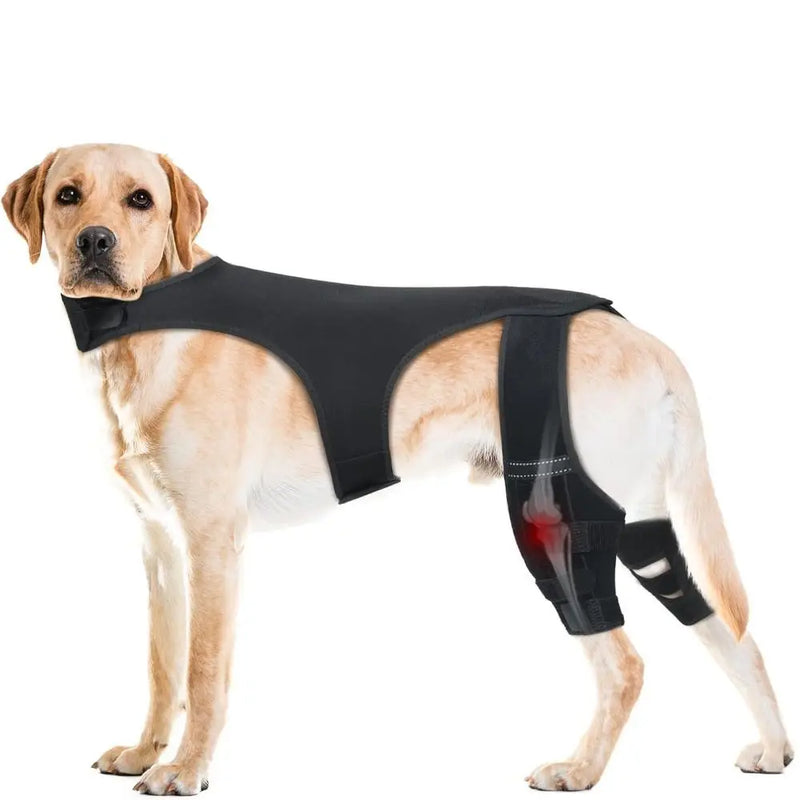 Attelle Genouillère Chien Réglable Bandes Réfléchissantes