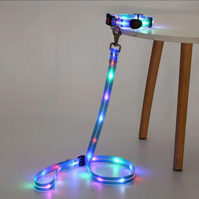 Collier et Laisse LED Lumineux pour Chien