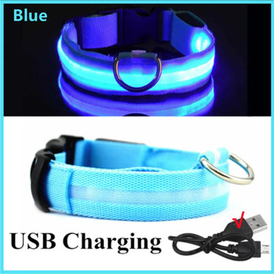 Collier Lumineux LED Rechargeable USB Nylon Grand Chien