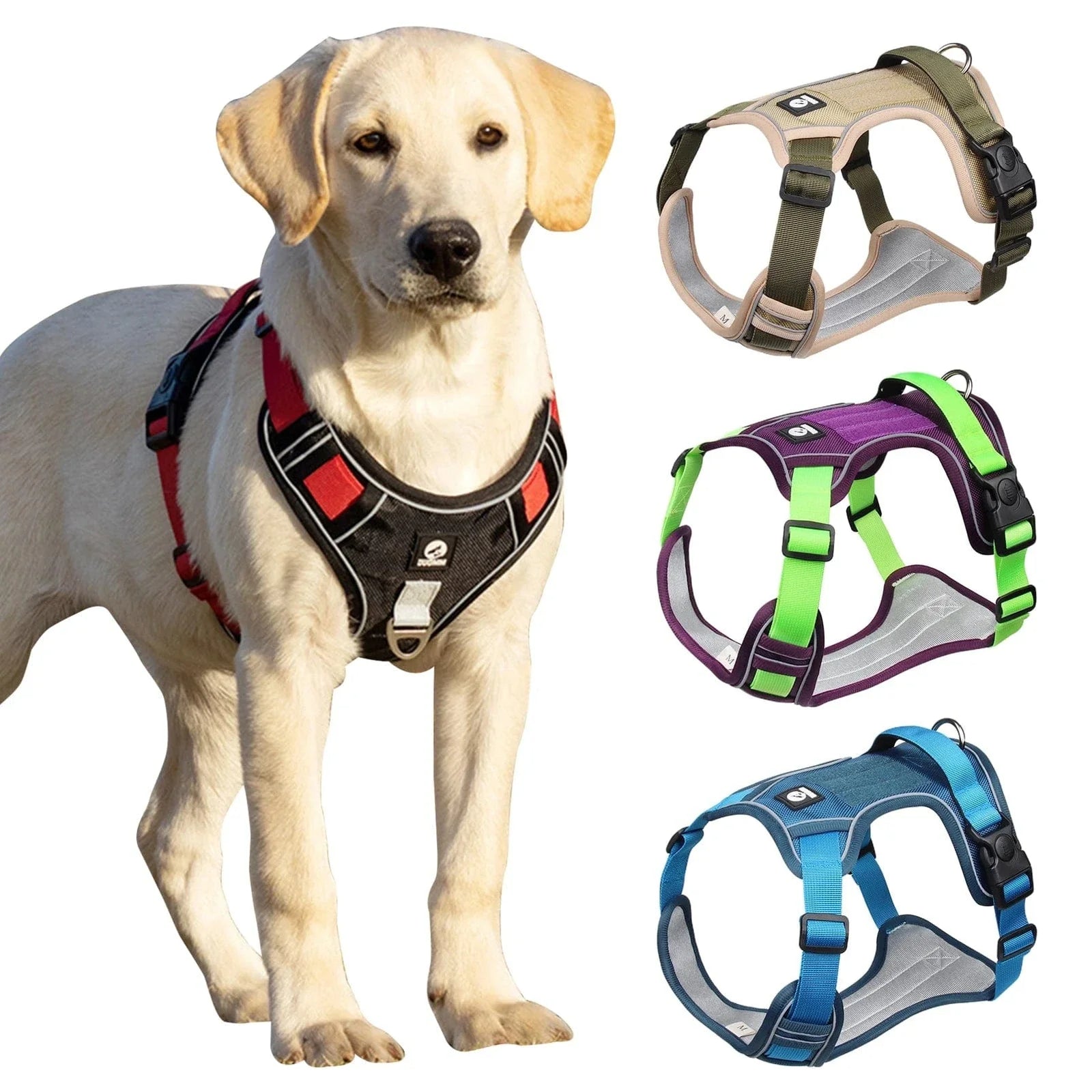 https://cdn.shopify.com/s/files/1/0489/2898/1148/files/S1afb9c76446a4c3faddc0fd2722ff4ddf.webp?v=1742913624