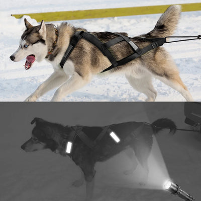 Harnais de Traction Canicross Réfléchissant Husky et Grand Chien
