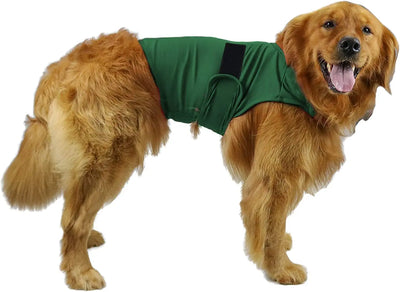 Vêtement Apaisant Anti-Anxiété Réglable Col Amovible Chien Voyage
