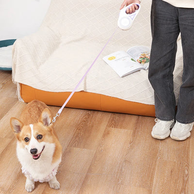 Laisse Rétractable LED pour Chien