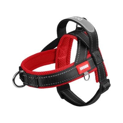 Harnais Chien Style Selle Réfléchissant Petit et Moyen Gabarit