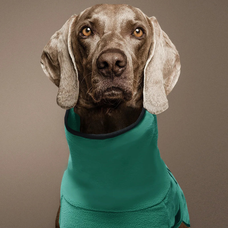 Manteau Polaire Chaud Lévrier Doberman