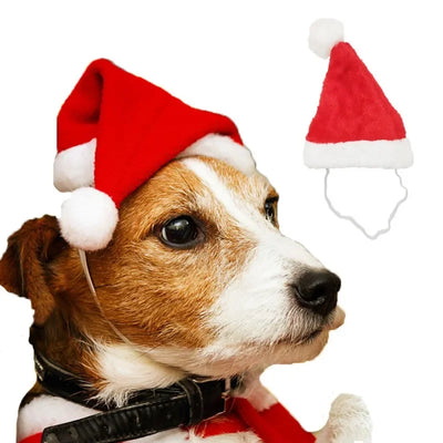 Chapeau de Père Noël Moelleux pour Chien