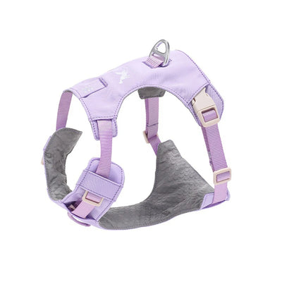 Ensemble Harnais et Laisse Assortis Anti-Traction Chien