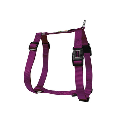 Harnais Chien en H Nylon Réglable Moyen et Grand
