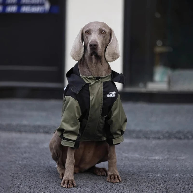 Manteau Imperméable à Capuche Zippé Gros Chien