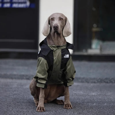 Manteau Imperméable à Capuche Zippé Gros Chien