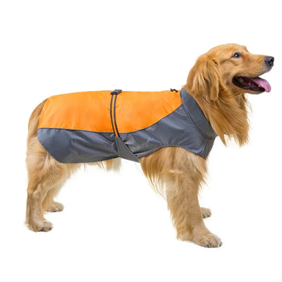Manteau Imperméable Sport Bicolore Golden Retriever du S au 9XL