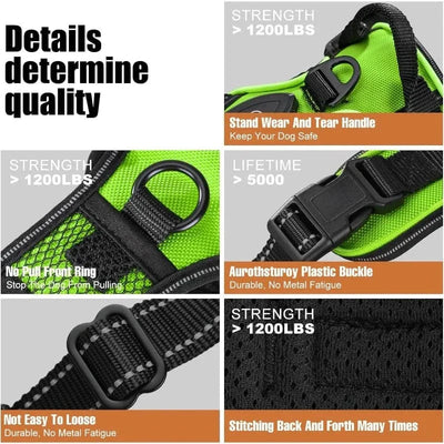 https://cdn.shopify.com/s/files/1/0489/2898/1148/files/S1c99e68c8b89454c9946aa003156d3c3J.webp?v=1742913848