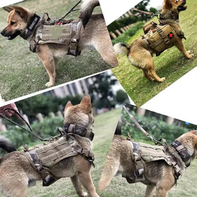 Harnais Tactique Rembourré à Dégagement Rapide pour Grand Chien