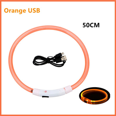 Collier Lumineux LED Rechargeable USB Nylon Grand Chien