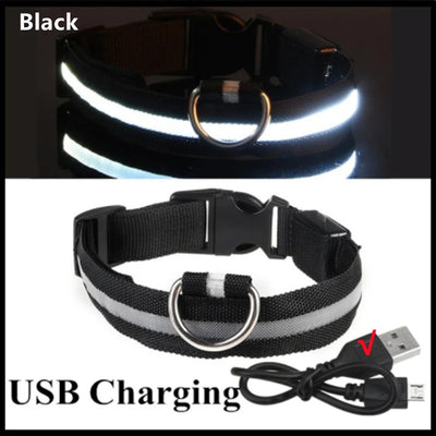 Collier Lumineux LED Rechargeable USB Nylon Grand Chien