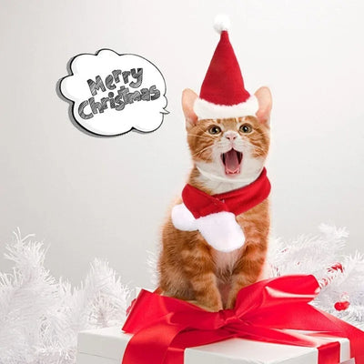 Chapeau et Écharpe de Père Noël pour Chien