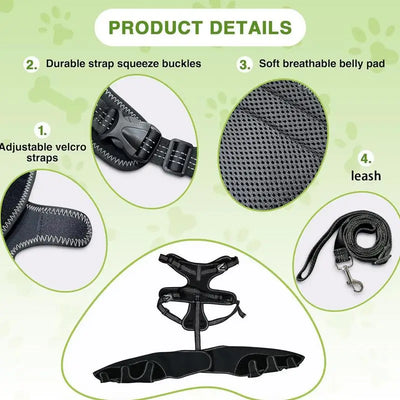 Attelle pour Chien Genouillère Double Pattes Arrière Réglable