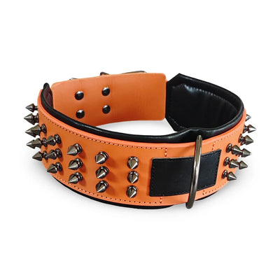 Collier Cuir Véritable Clouté Pointes Anti-Morsure Gros Chien
