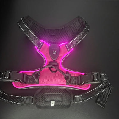 Harnais Lumineux LED Rechargeable Grand Chien
