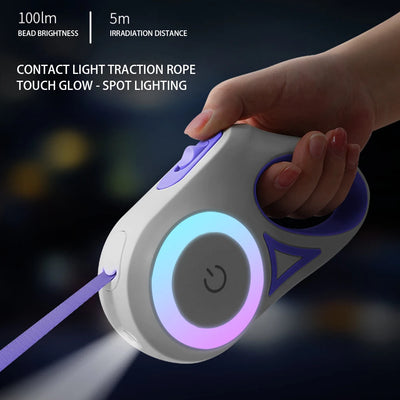 Laisse Rétractable LED pour Chien