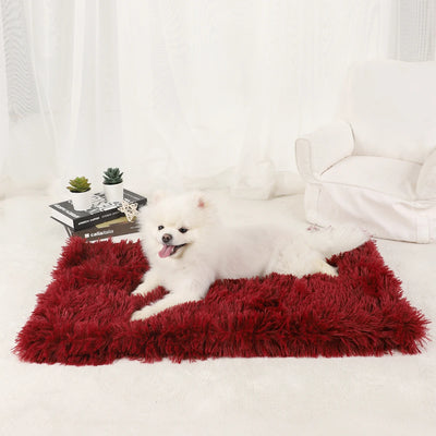 Tapis Moelleux Chien Ultra Doux Grand Format