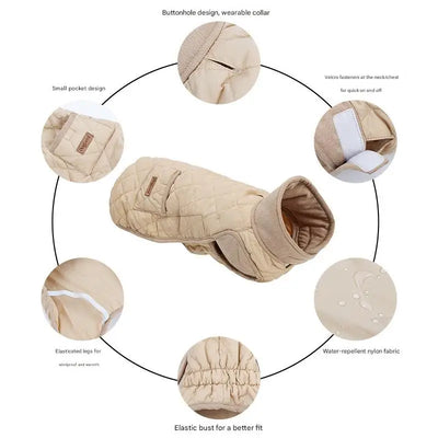 Manteau Imperméable Matelassé pour Teckel et Chien à Dos Long