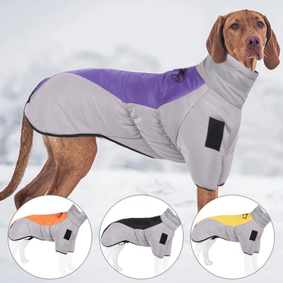 Manteau Imperméable Chien Harnais Intégré Grande Taille