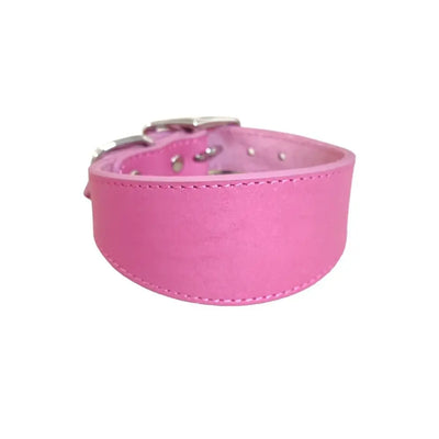 Collier Cuir Large Anti-Traction pour Grand Chien