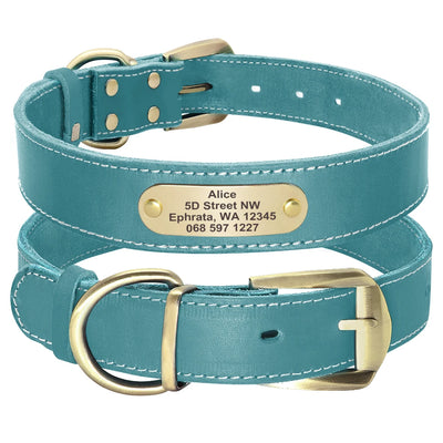 Collier Cuir Plaque d'Identification Gravée Chien Pitbull