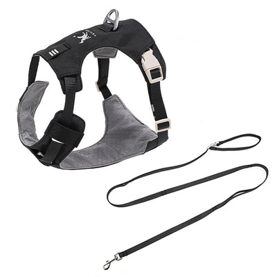Ensemble Harnais et Laisse Assortis Anti-Traction Chien
