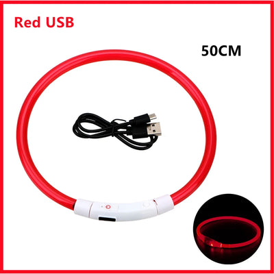 Collier Lumineux LED Rechargeable USB Nylon Grand Chien