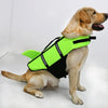 Harnais de nage pour chien