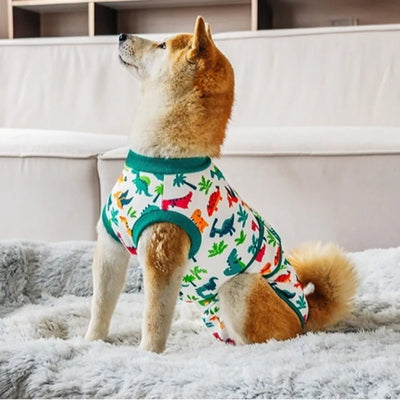 Combinaison de Stérilisation Chien Respirante Alternative Collerette