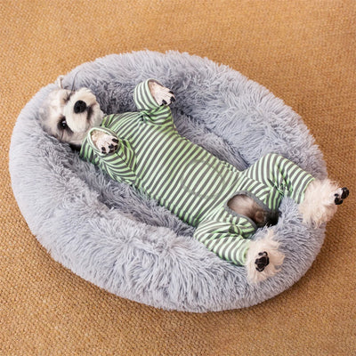 Combinaison de Récupération Rayée Petit Chien 4 Pattes Col Réglable