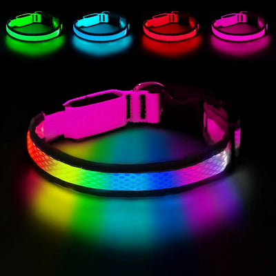 Collier LED Rechargeable Nylon Doux pour Chien