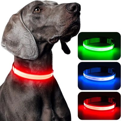 Collier LED Haute Visibilité Rechargeable Chien
