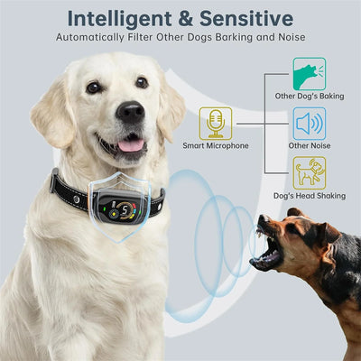 Collier Anti-Aboiement 4 Modes Gros Chien IP67