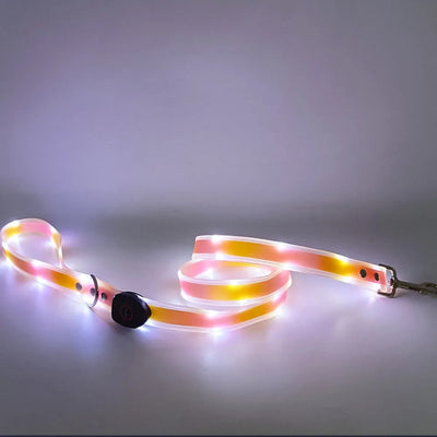 Collier et Laisse LED Lumineux pour Chien