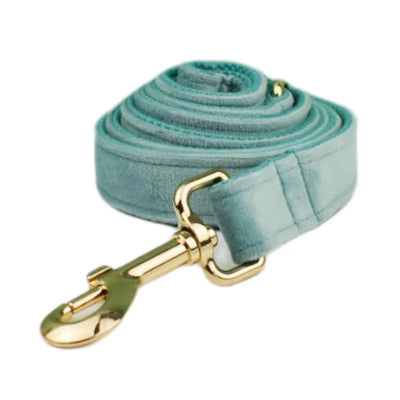Collier et Laisse Velours Vert Plaque Gravée Chien