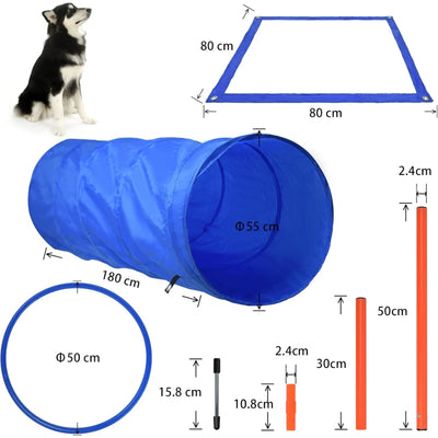 Set d'Obstacles Agility avec Tunnel Pliable pour Chien