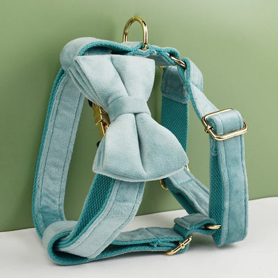 Collier et Laisse Velours Vert Plaque Gravée Chien