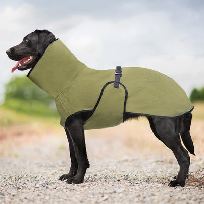 Manteau Thermique Chien Col Montant Sangle Réglable
