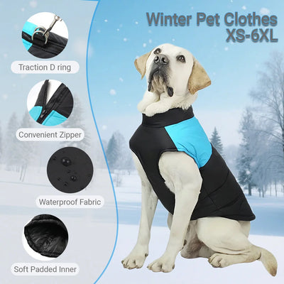 Manteau Automne Hiver Imperméable Chien Labrador