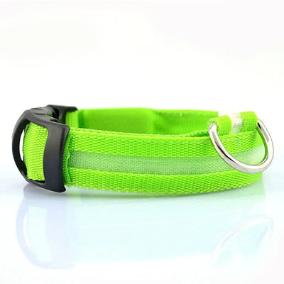 Collier LED Veilleuse Rechargeable pour Chien