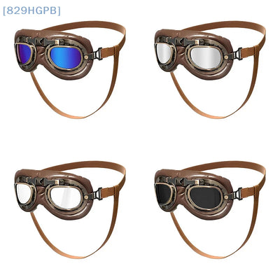 Lunettes Protection UV Gros Chien Sangles Réglables