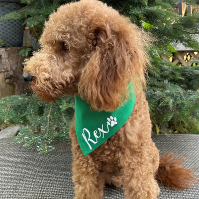 Bandana de Noël Personnalisé avec Nom pour Chien